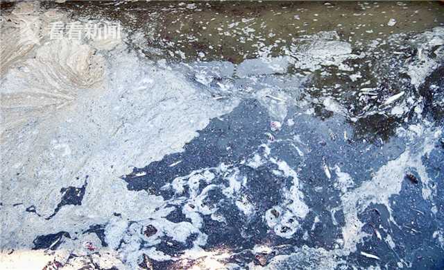 消防宣传进校园携手“童”行零距离(图1)